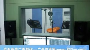 商超產(chǎn)品播報與廣告錄音制作服務(wù)